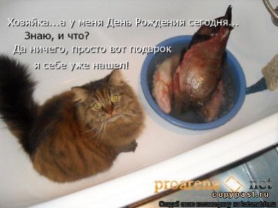 1245570404_dd9.jpg